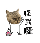 A cat from Saturn 4（個別スタンプ：15）