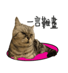 A cat from Saturn 4（個別スタンプ：21）
