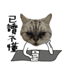 A cat from Saturn 4（個別スタンプ：24）