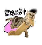 A cat from Saturn 4（個別スタンプ：28）