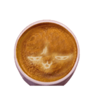 Coffee Face（個別スタンプ：8）