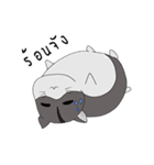 Sleepy Hamster（個別スタンプ：5）