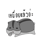 Sleepy Hamster（個別スタンプ：22）