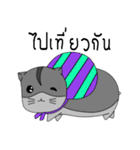Sleepy Hamster（個別スタンプ：25）