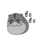 Sleepy Hamster（個別スタンプ：31）