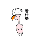 The chick 8（個別スタンプ：36）