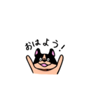 使えるブルちゃん（個別スタンプ：1）