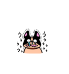 使えるブルちゃん（個別スタンプ：13）