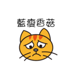 Lazy typing？ Naughty cat speak for you（個別スタンプ：14）