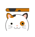 WANMAI The Cute Cat（個別スタンプ：4）