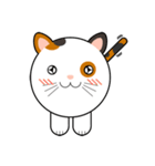 WANMAI The Cute Cat（個別スタンプ：6）