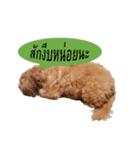 PANCAKE DOG（個別スタンプ：2）