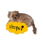 PANCAKE DOG（個別スタンプ：3）