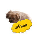 PANCAKE DOG（個別スタンプ：8）