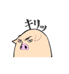 もちぶた（個別スタンプ：1）