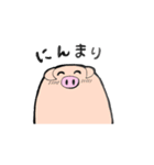 もちぶた（個別スタンプ：5）