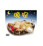 Cats TNR（個別スタンプ：9）