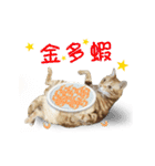 Cats TNR（個別スタンプ：21）