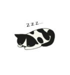 チョビひげ猫、モモ（個別スタンプ：6）