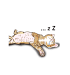 little cat mayn（個別スタンプ：2）