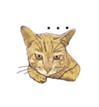 little cat mayn（個別スタンプ：7）