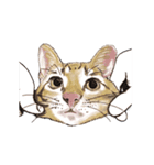 little cat mayn（個別スタンプ：9）