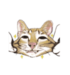 little cat mayn（個別スタンプ：10）