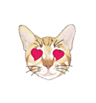 little cat mayn（個別スタンプ：15）