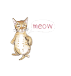 little cat mayn（個別スタンプ：16）