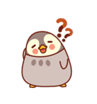 Pippo, the Roly Poly Penguin（個別スタンプ：5）