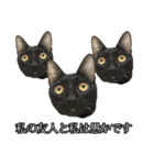 猫の通訳~（個別スタンプ：22）