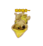 Corgi Bucky Says Hi ！（個別スタンプ：10）