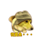 Corgi Bucky Says Hi ！（個別スタンプ：20）