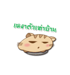 Meaw Jomza Animated Stickers（個別スタンプ：11）
