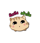 Meaw Jomza Animated Stickers（個別スタンプ：13）