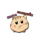 Meaw Jomza Animated Stickers（個別スタンプ：16）