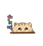Meaw Jomza Animated Stickers（個別スタンプ：19）
