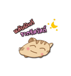 Meaw Jomza Animated Stickers（個別スタンプ：22）