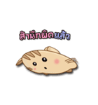 Meaw Jomza Animated Stickers（個別スタンプ：24）