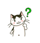 ハチワレ猫のスタンプ（個別スタンプ：2）