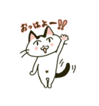 ハチワレ猫のスタンプ（個別スタンプ：5）