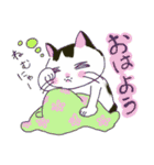 ハチワレ猫のスタンプ（個別スタンプ：6）