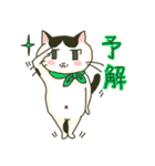ハチワレ猫のスタンプ（個別スタンプ：19）