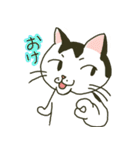 ハチワレ猫のスタンプ（個別スタンプ：20）