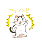 ハチワレ猫のスタンプ（個別スタンプ：30）