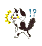 ハチワレ猫のスタンプ（個別スタンプ：31）