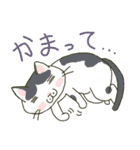 ハチワレ猫のスタンプ（個別スタンプ：33）