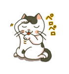 ハチワレ猫のスタンプ（個別スタンプ：34）