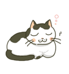 ハチワレ猫のスタンプ（個別スタンプ：35）