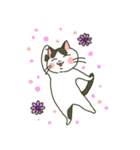 ハチワレ猫のスタンプ（個別スタンプ：37）